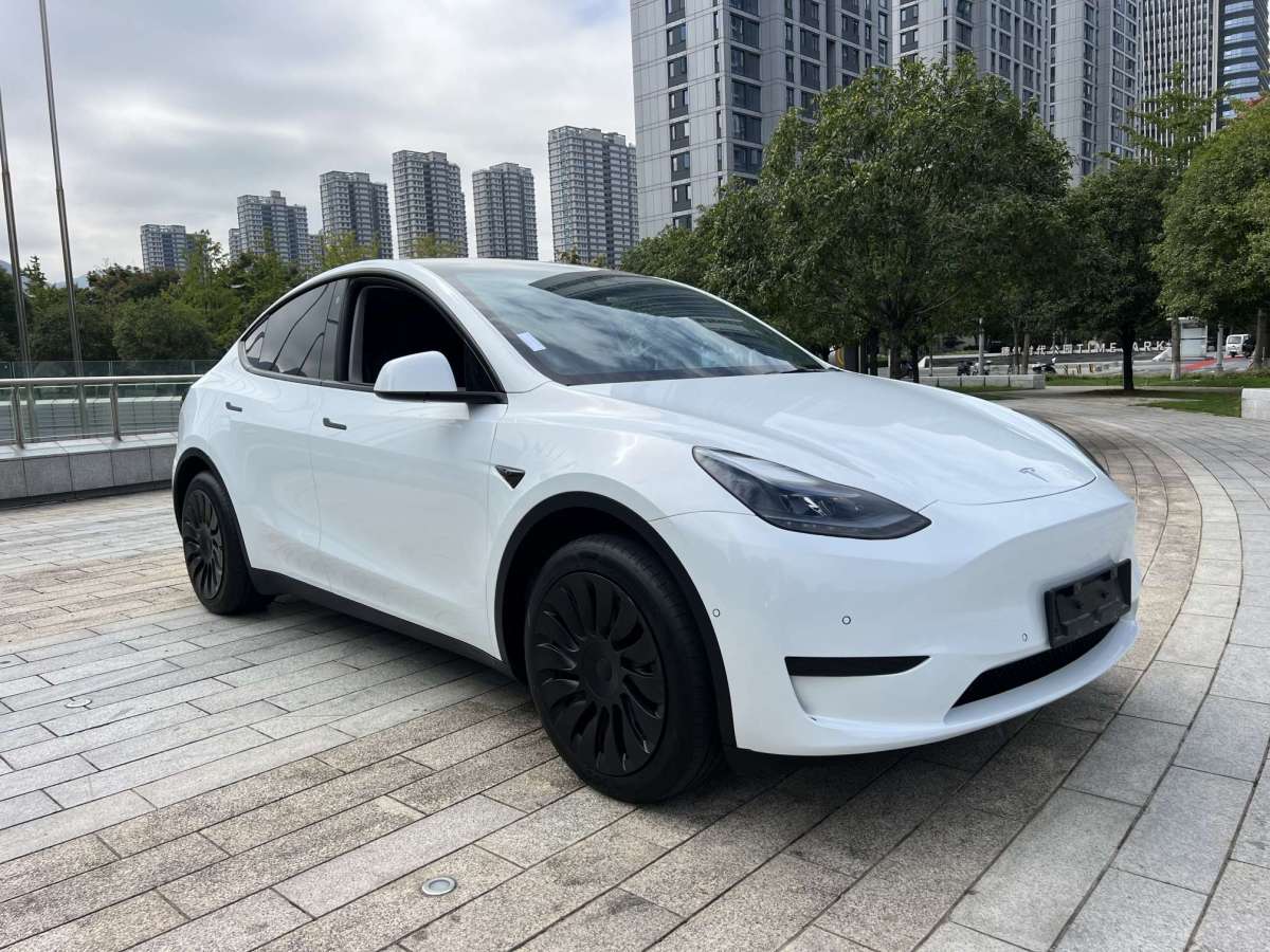 特斯拉 Model Y  2023款 煥新版 后輪驅(qū)動圖片