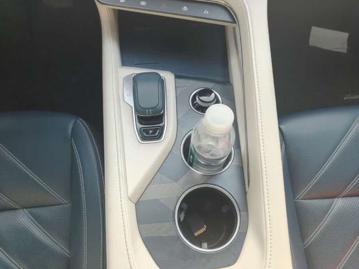 極氪 極氪001  2022款 長續(xù)航雙電機 WE版圖片