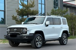 坦克300 坦克 城市版 2.0T 很有型