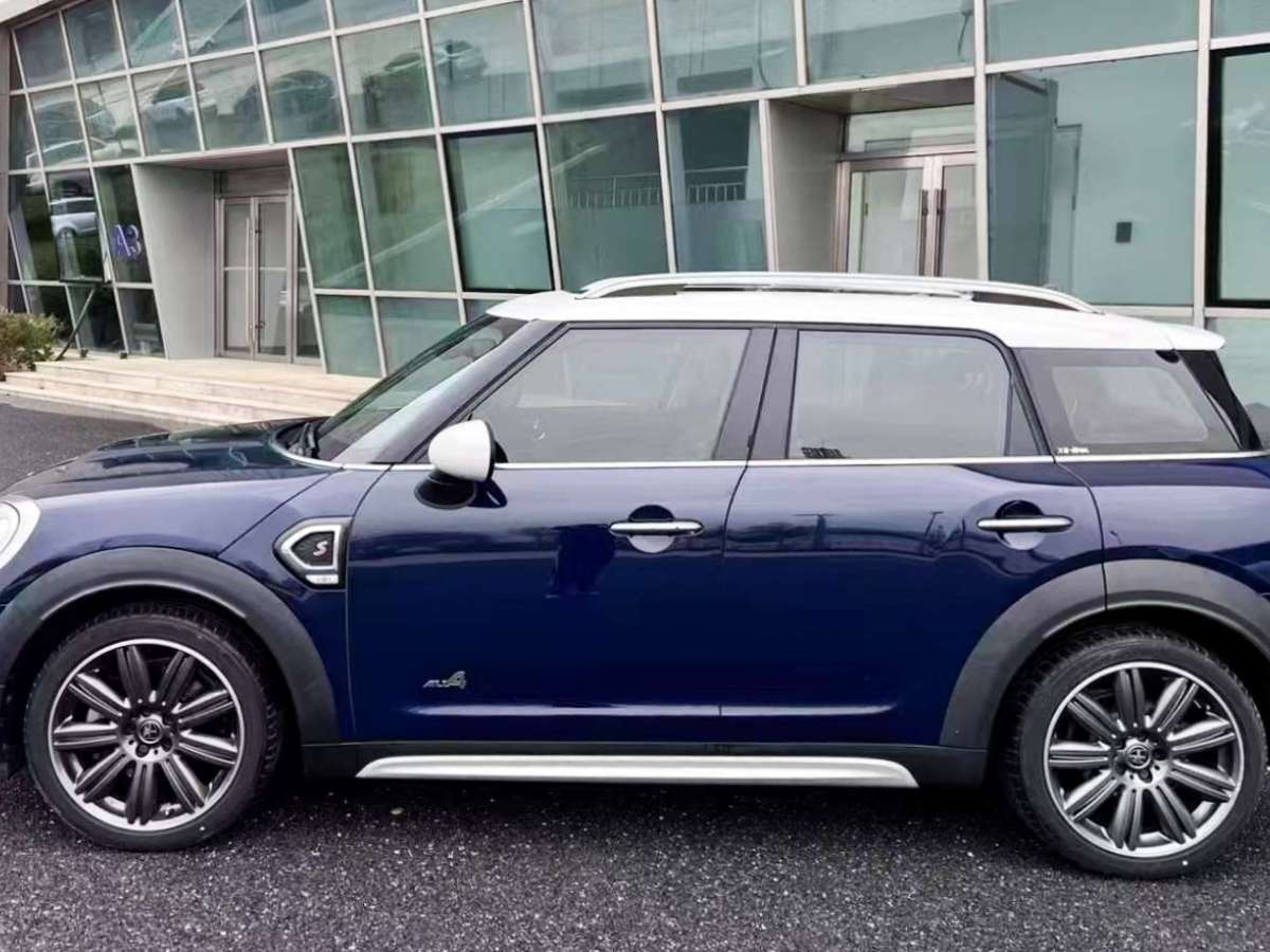 MINI COUNTRYMAN  2019款 2.0T COOPER S ALL4 藝術(shù)家圖片