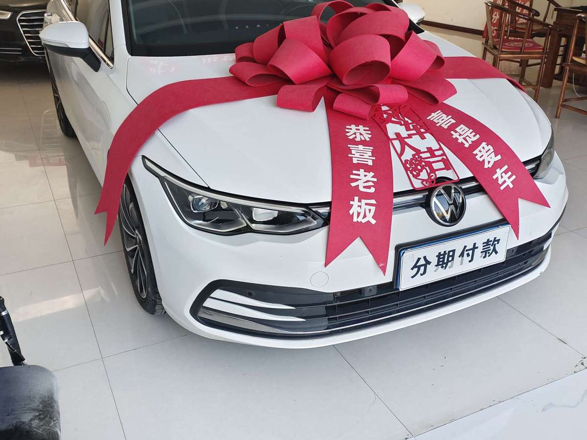 2022年2月大眾 高爾夫  2021款 280TSI DSG 30周年紀(jì)念版