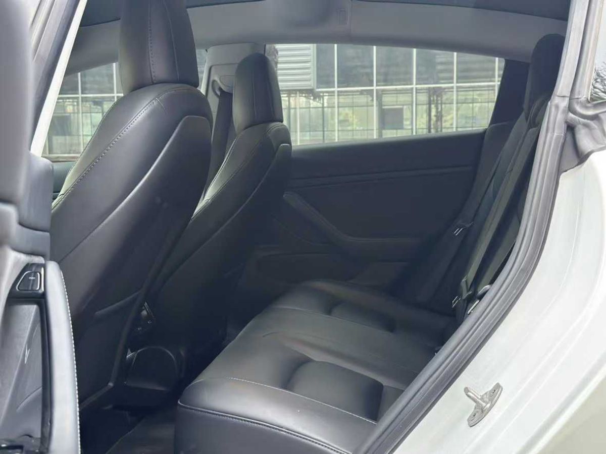 特斯拉 Model 3  2019款 長續(xù)航后驅(qū)版圖片