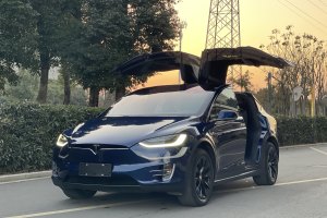 Model X 特斯拉 Model X 100D 長續(xù)航版