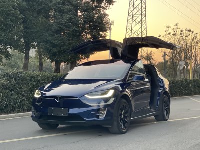 2019年2月 特斯拉 Model X Model X 100D 長(zhǎng)續(xù)航版圖片