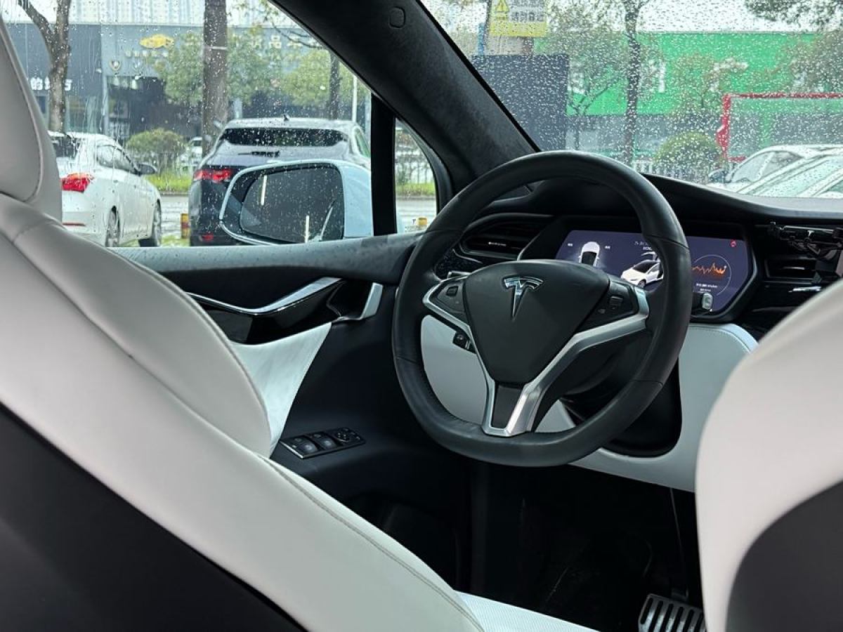 2019年1月特斯拉 Model X  2017款 Model X 100D 長續(xù)航版