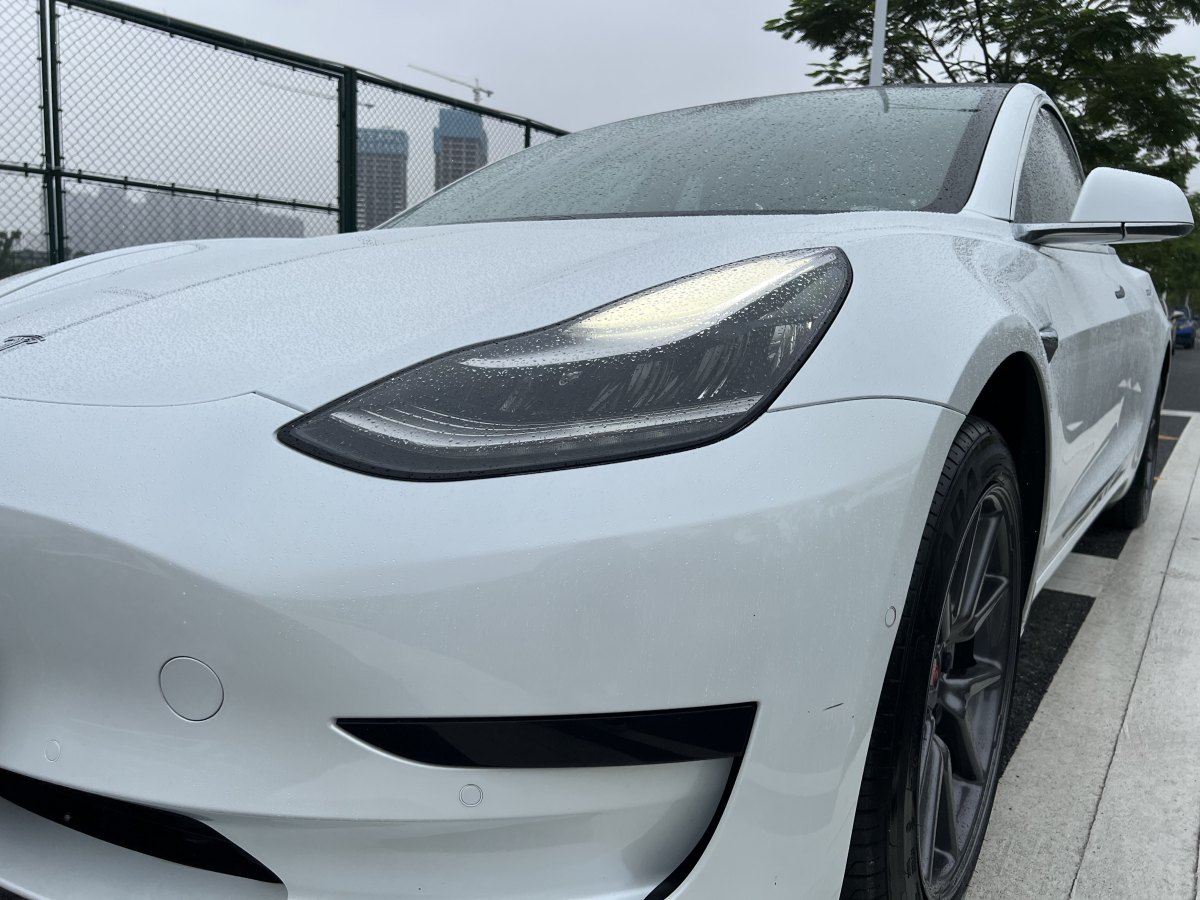 特斯拉 Model 3  2019款 標(biāo)準(zhǔn)續(xù)航后驅(qū)升級(jí)版圖片