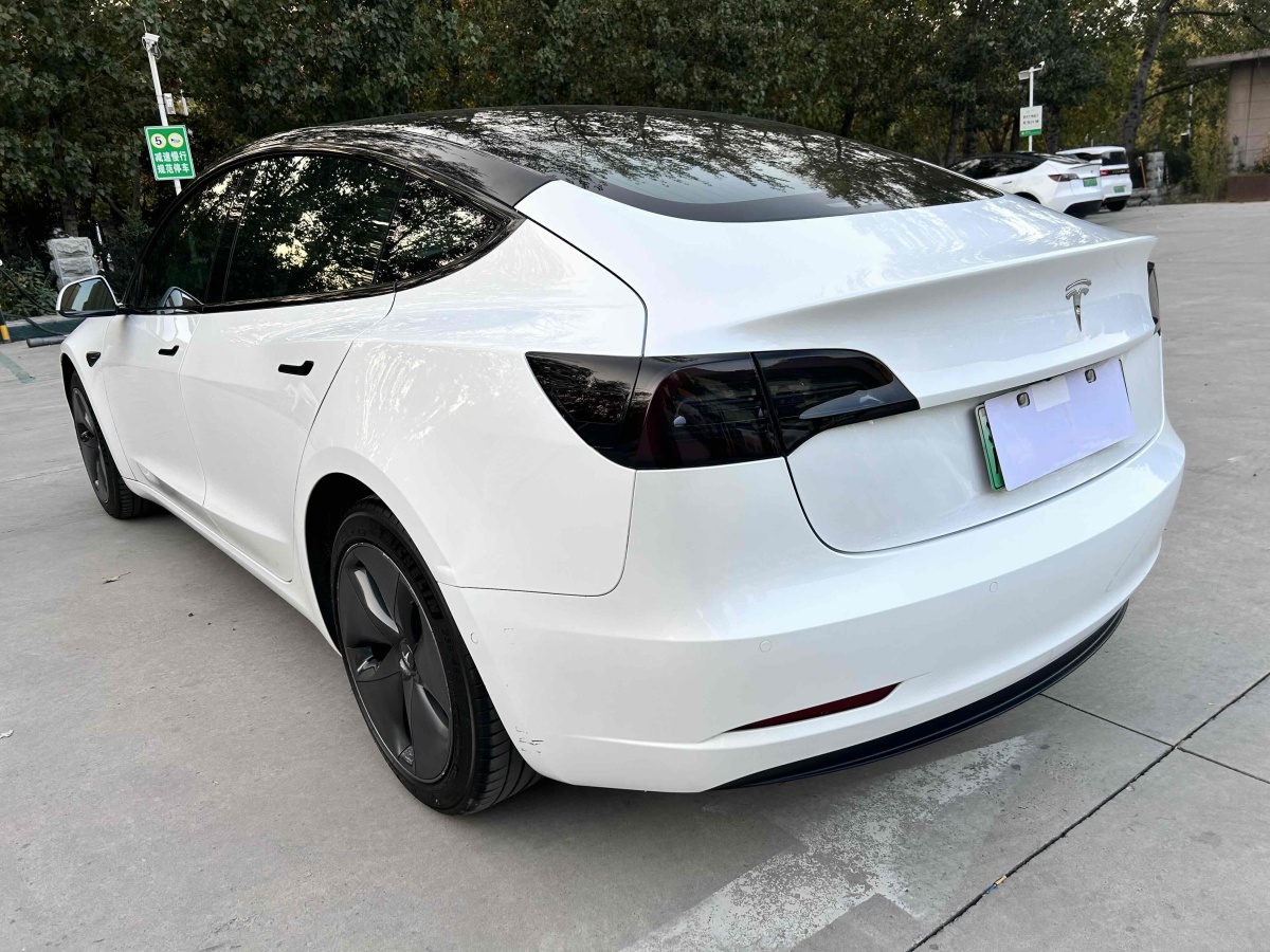 特斯拉 Model 3  2020款 改款 長續(xù)航后輪驅(qū)動版圖片