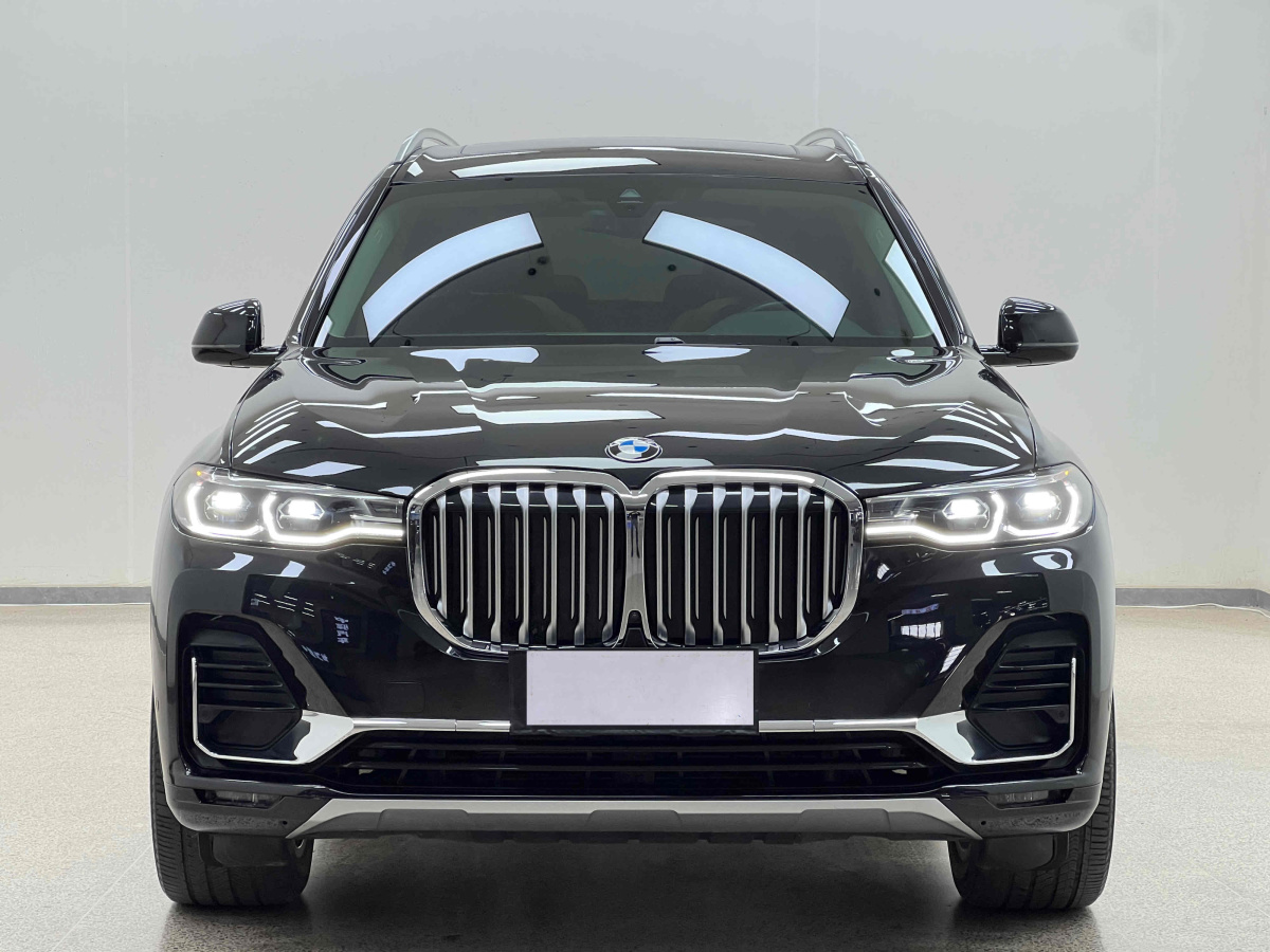 寶馬 寶馬X7  2019款  xDrive40i 領(lǐng)先型豪華套裝圖片