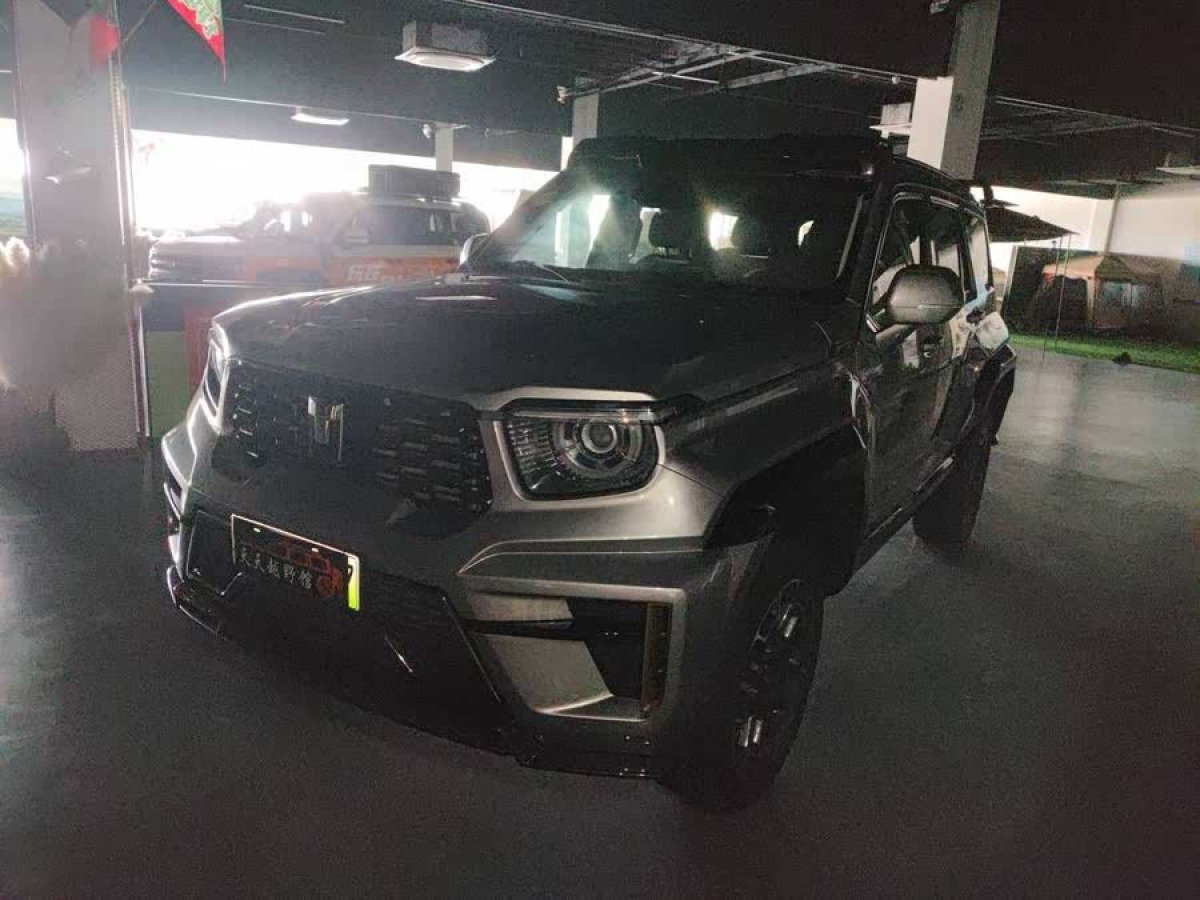 坦克 坦克700新能源  2024款 Hi4-T 極境版圖片