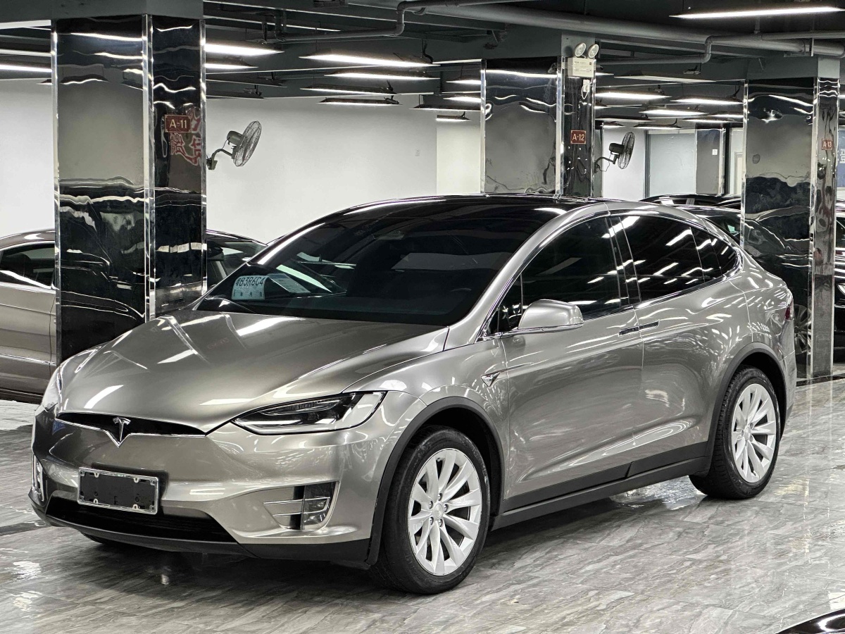 特斯拉 Model X  2016款 Model X 75D圖片