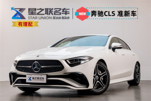 奔驰CLS 23款 改款 CLS 300 动感型  