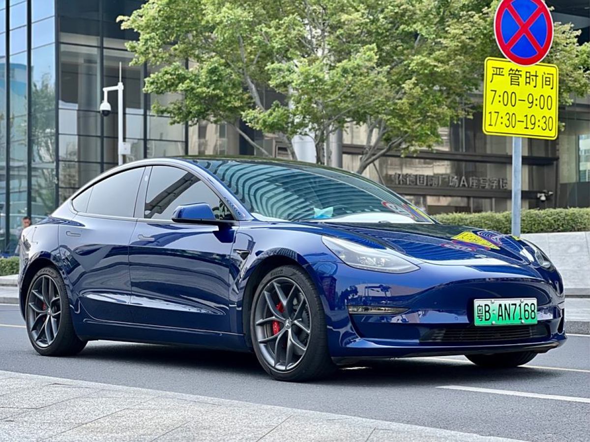 特斯拉 Model Y  2021款 Performance高性能全輪驅(qū)動(dòng)版圖片