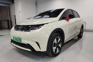 海豚 比亞迪 榮耀版 420km 自由版