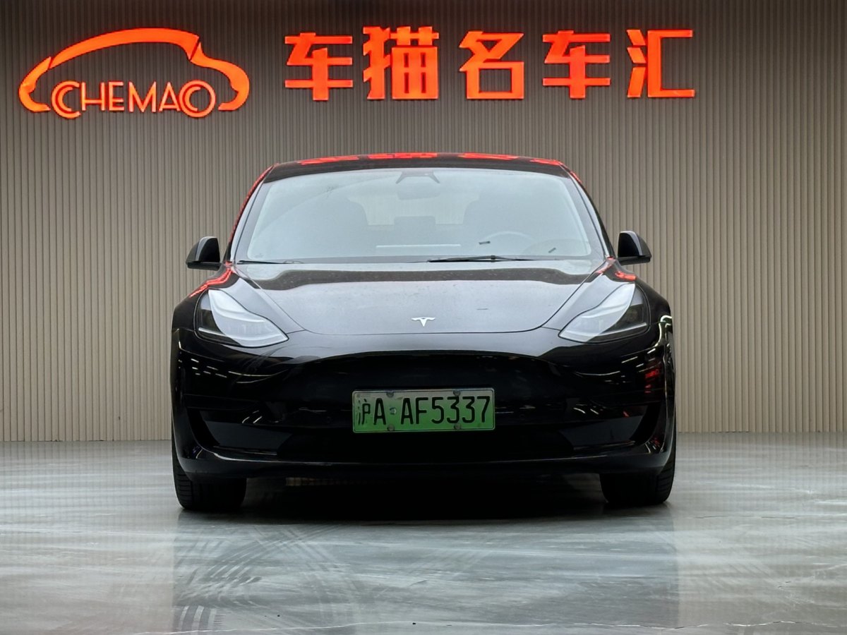 特斯拉 Model 3  2019款 標(biāo)準(zhǔn)續(xù)航后驅(qū)升級版圖片