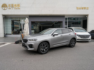 2019年1月 WEY VV7 2.0T 超豪型圖片