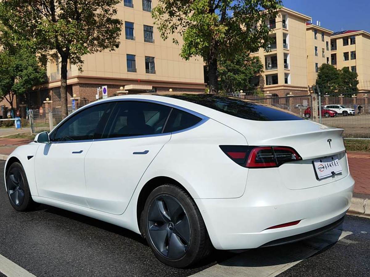 特斯拉 Model 3  2019款 標(biāo)準(zhǔn)續(xù)航后驅(qū)升級(jí)版圖片