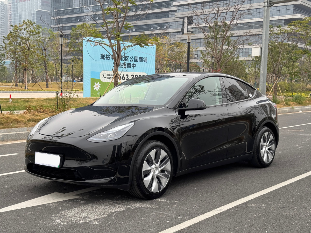 特斯拉 Model 3  2020款 改款 長(zhǎng)續(xù)航后輪驅(qū)動(dòng)版圖片