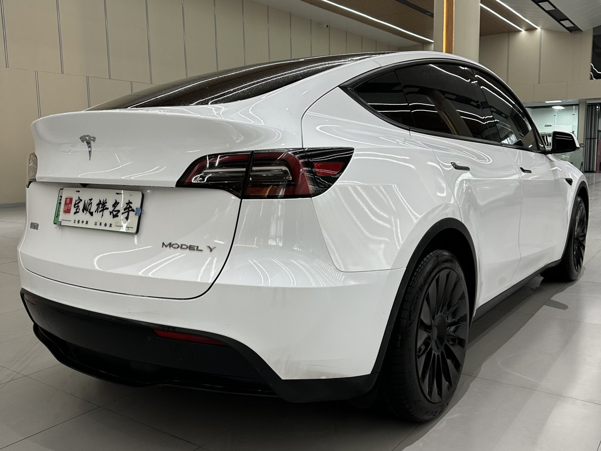 特斯拉 Model 3  2020款 改款 長續(xù)航后輪驅(qū)動版圖片