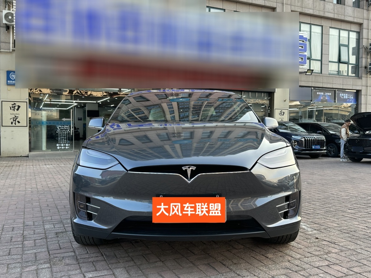 特斯拉 Model X  2017款 Model X 100D 長續(xù)航版圖片