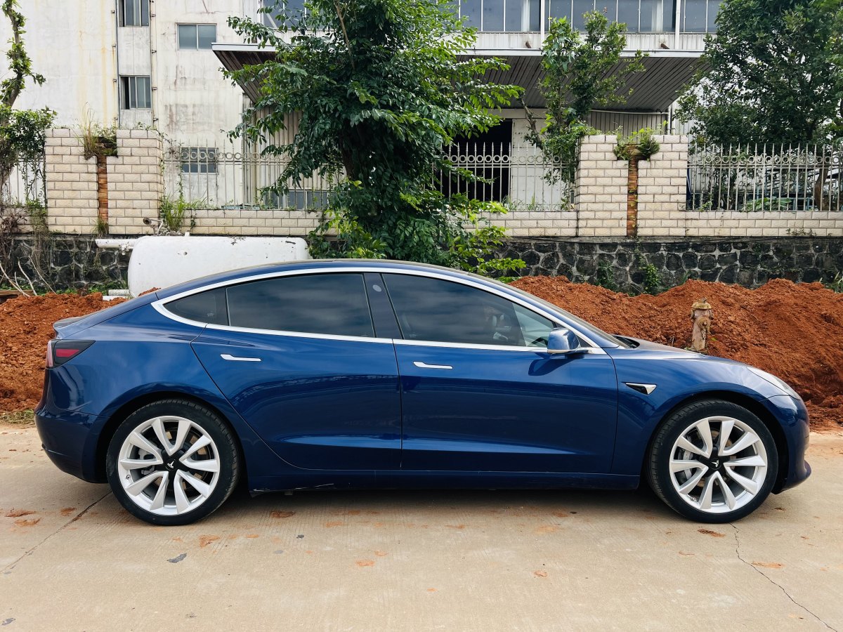 特斯拉 Model 3  2019款 標(biāo)準(zhǔn)續(xù)航后驅(qū)升級版圖片