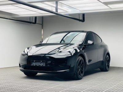 2023年3月 特斯拉 Model 3 改款 長續(xù)航后輪驅動版圖片