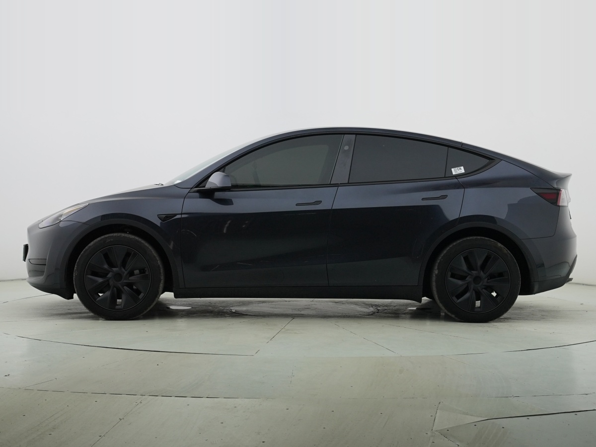 特斯拉 Model Y  2020款 改款 長續(xù)航后輪驅(qū)動版圖片