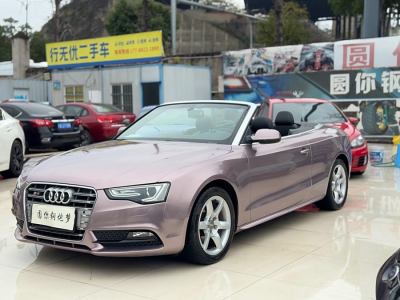 2014年6月 奧迪 奧迪A5(進(jìn)口) Cabriolet 45 TFSI圖片