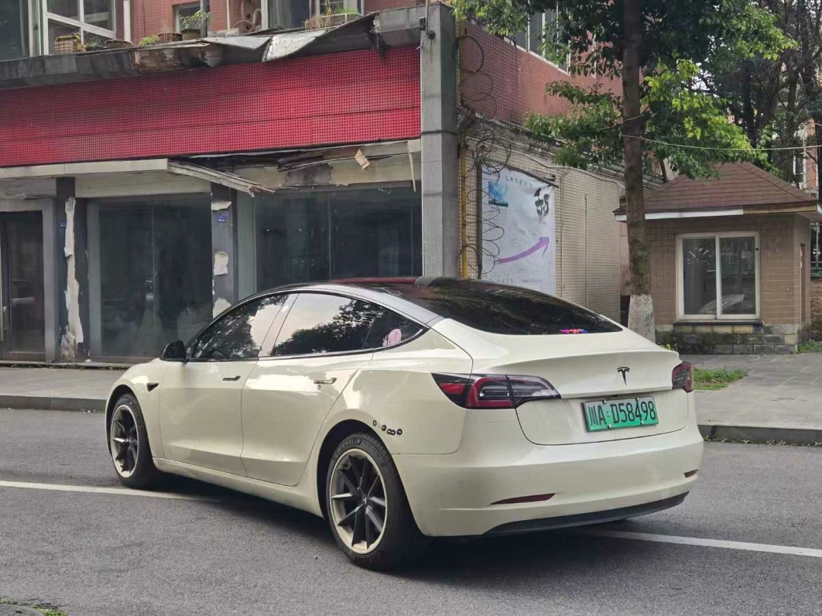 特斯拉 Model 3  2020款 標(biāo)準(zhǔn)續(xù)航后驅(qū)升級(jí)版圖片