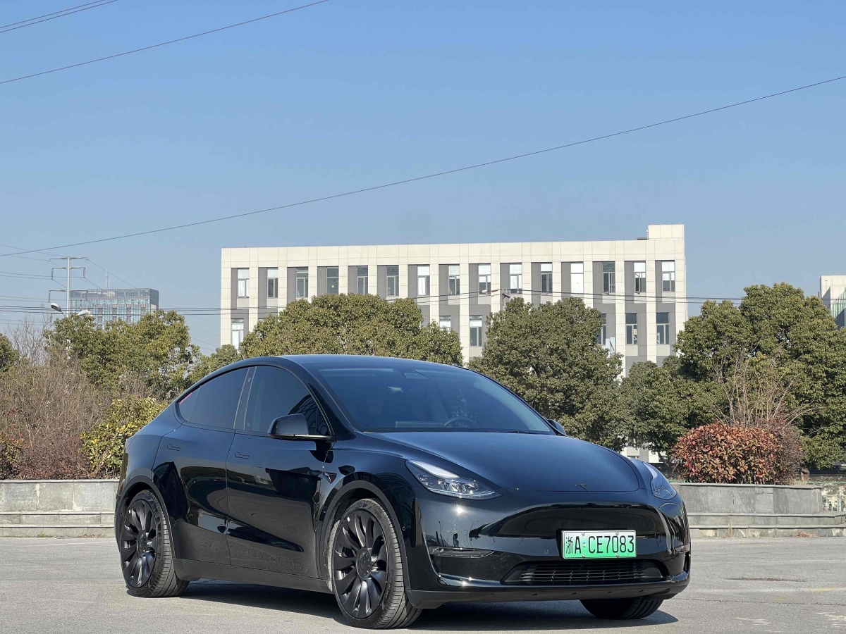 特斯拉 Model 3  2022款 Performance高性能全輪驅(qū)動(dòng)版圖片