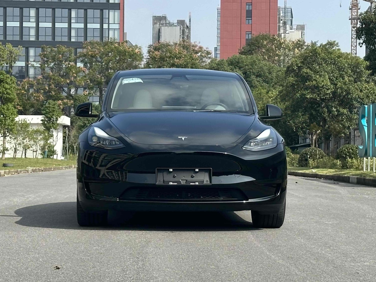 特斯拉 Model 3  2022款 后輪驅(qū)動(dòng)版圖片