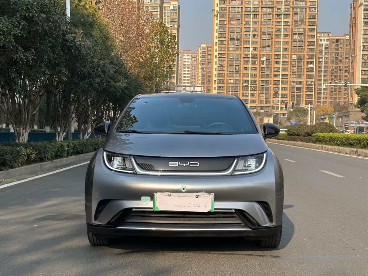 比亞迪 海豚  2023款 420km 時(shí)尚版圖片