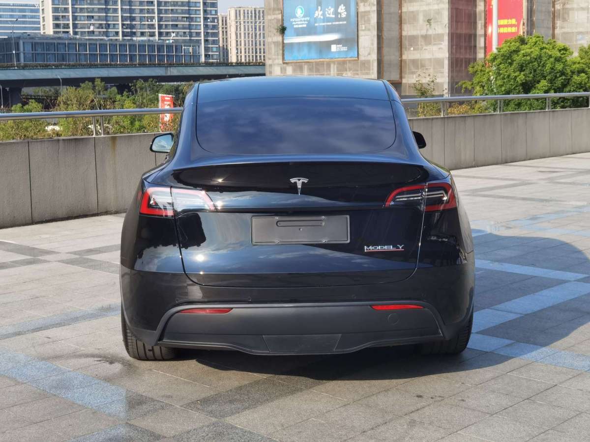 特斯拉 Model Y  2022款 Performance高性能全輪驅(qū)動版圖片