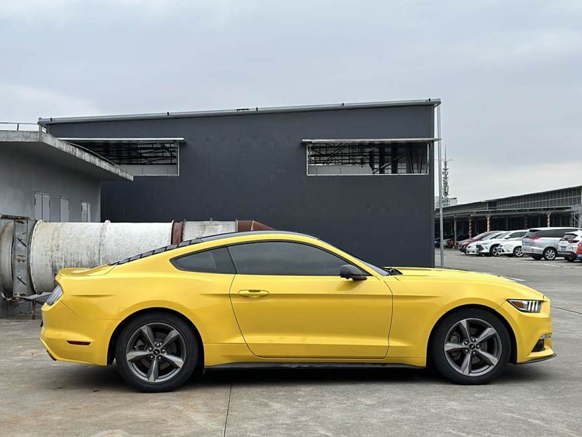 福特 Mustang  2013款 3.7L 自動標準型圖片