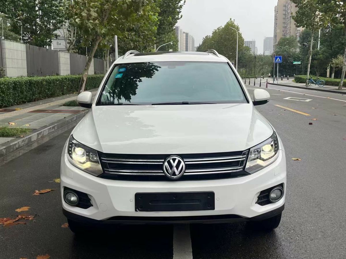 大眾 途歡  2012款 2.0 TDI 豪華版圖片