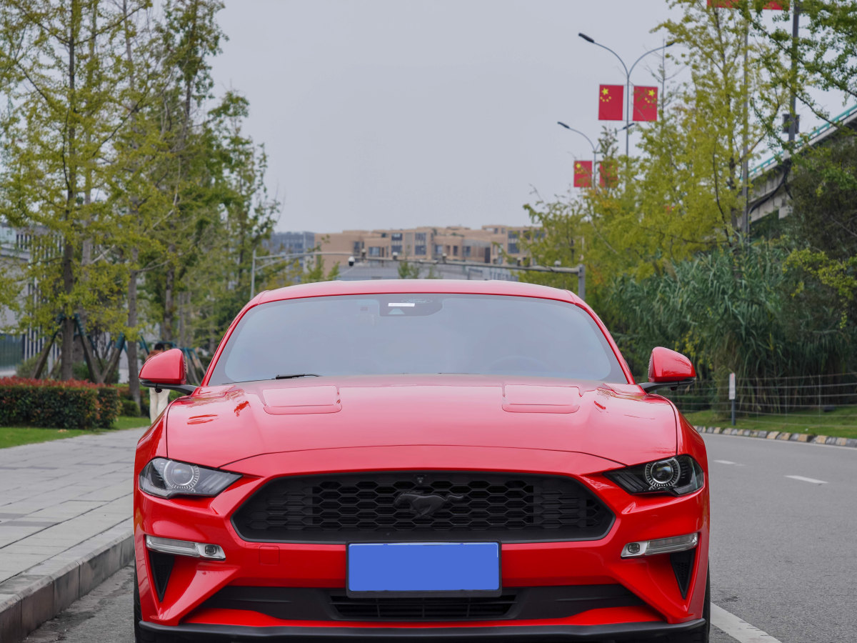 福特 Mustang  2021款 2.3L EcoBoost圖片