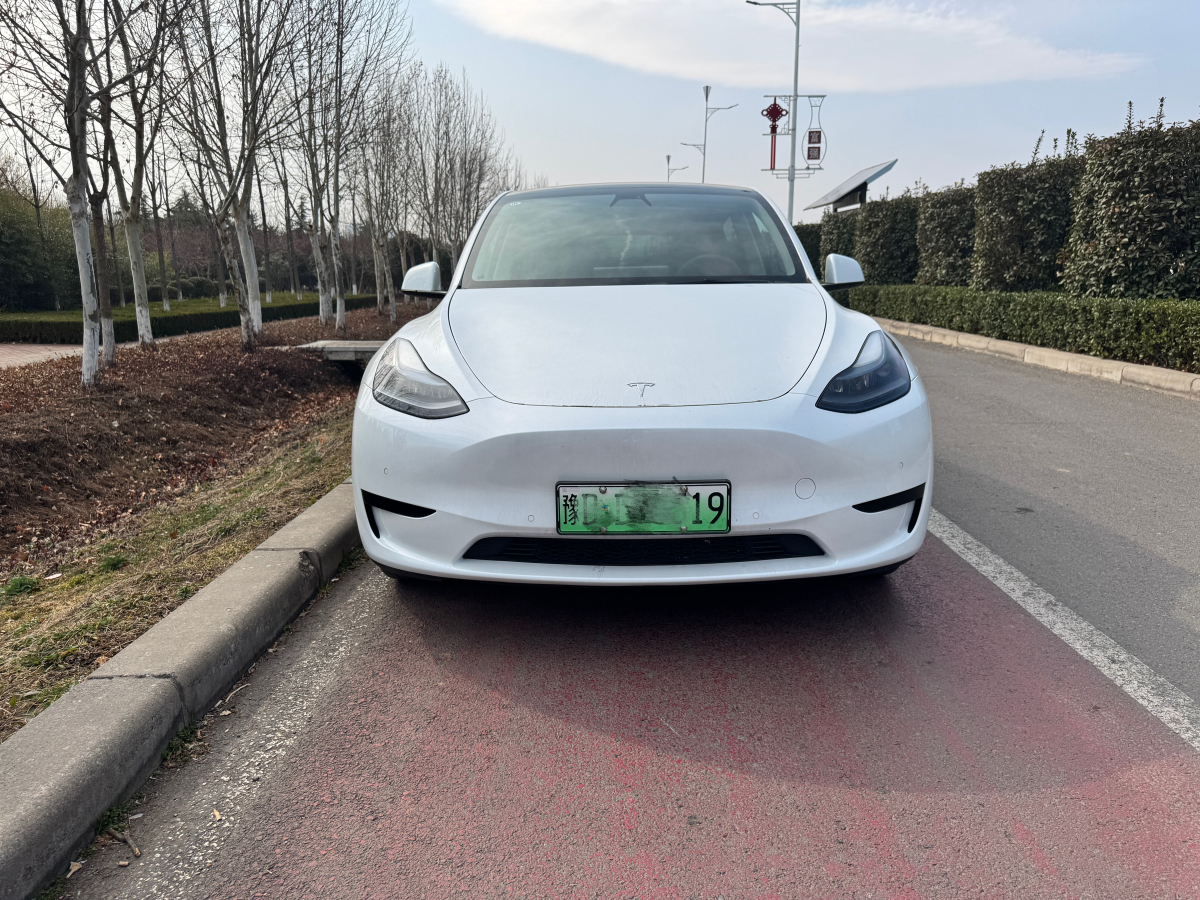 特斯拉 Model 3  2020款 改款 長續(xù)航后輪驅(qū)動版圖片