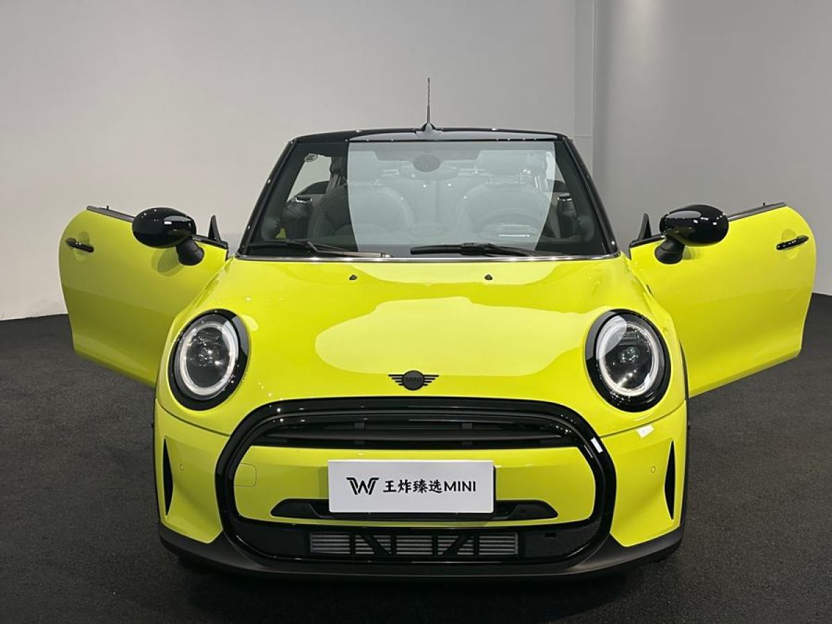 MINI MINI  2023款 改款 1.5T COOPER CABRIO 藝術(shù)家圖片