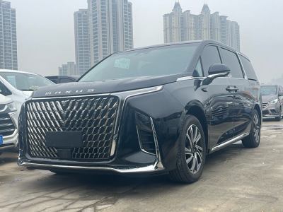 2022年10月 上汽大通 上汽大通MAXUS G90 2.0T 星云七座版图片