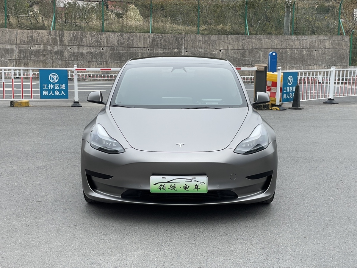 特斯拉 Model 3  2021款 標(biāo)準(zhǔn)續(xù)航后驅(qū)升級(jí)版 3D6圖片