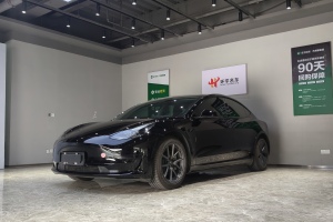 Model 3 特斯拉 标准续航后驱升级版