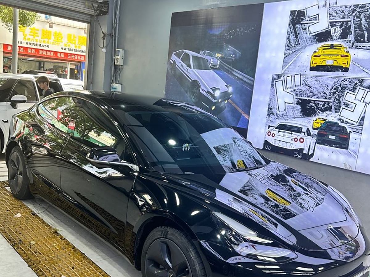 特斯拉 Model Y  2020款 改款 標準續(xù)航后驅(qū)升級版圖片