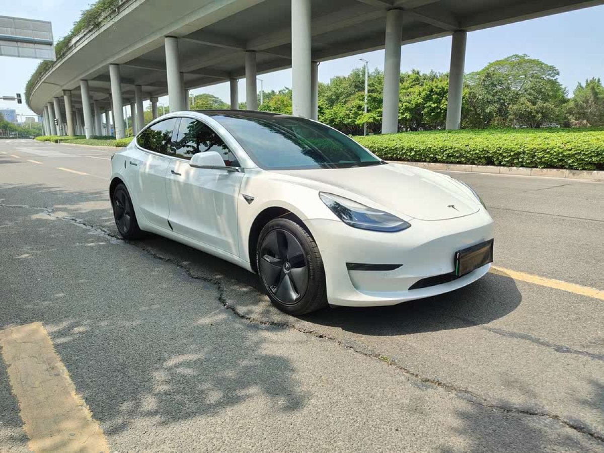 特斯拉 Model 3  2019款 長(zhǎng)續(xù)航后驅(qū)版圖片