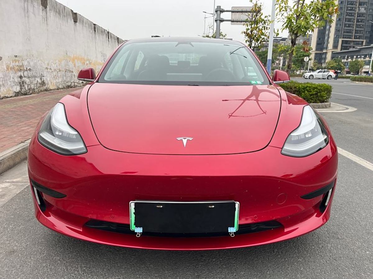 特斯拉 Model 3  2020款 改款 標準續(xù)航后驅(qū)升級版圖片