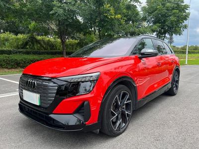 2022年4月 奧迪 奧迪Q5 e-tron 50 e-tron quattro edition one 藝創(chuàng)典藏版圖片