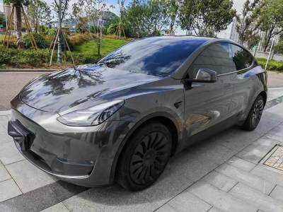 2021年11月 特斯拉 Model Y 改款 長續(xù)航全輪驅(qū)動版圖片