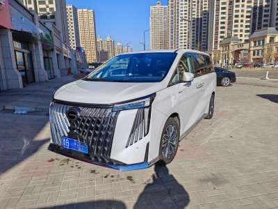 2023年11月 广汽传祺 M8 大师系列 390T 至尊版图片