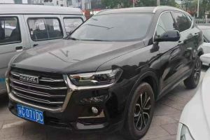 H6 哈弗 國(guó)潮版 1.5T 自動(dòng)冠軍版
