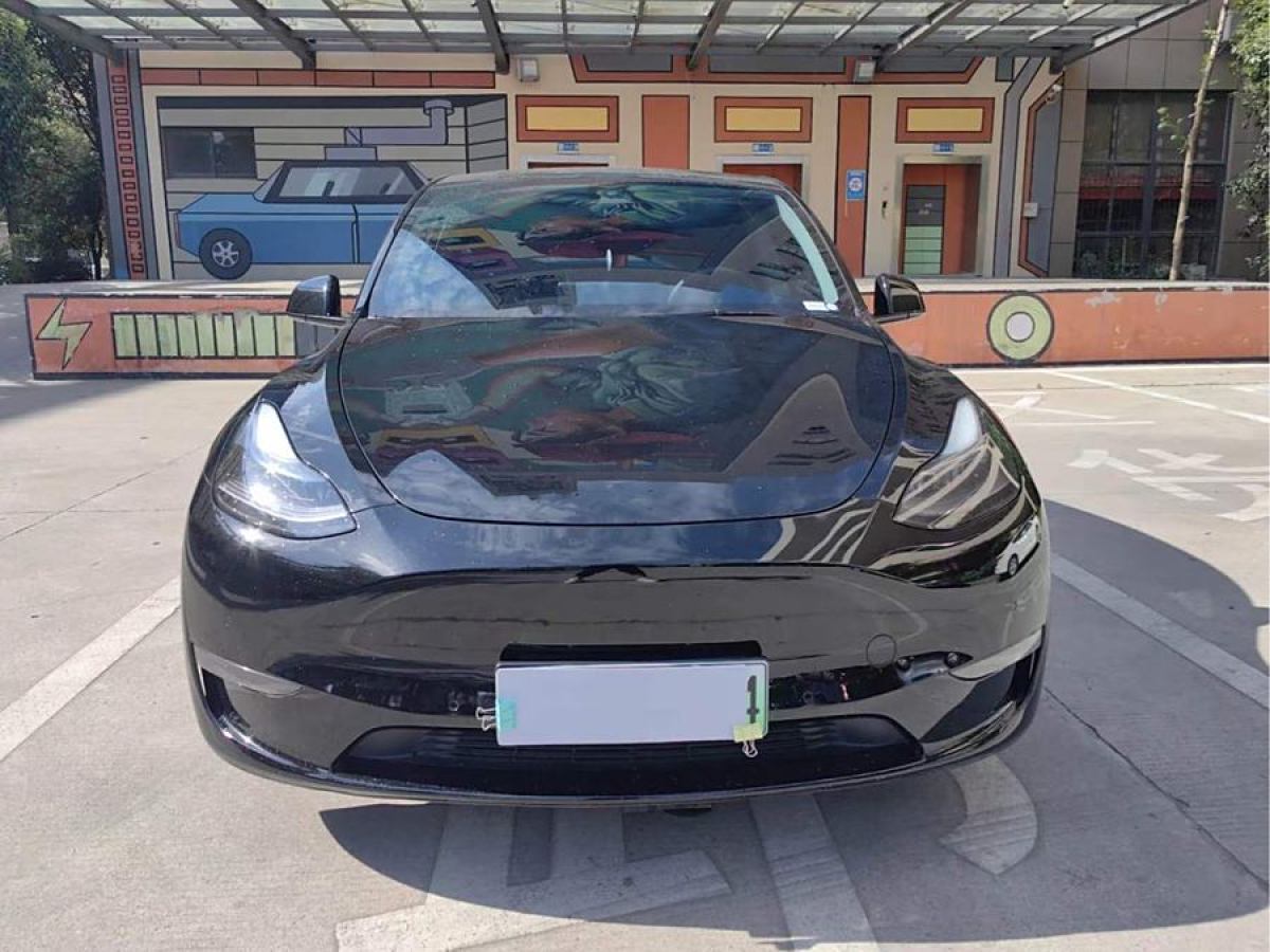 特斯拉 Model Y  2021款 改款 長續(xù)航全輪驅動版圖片