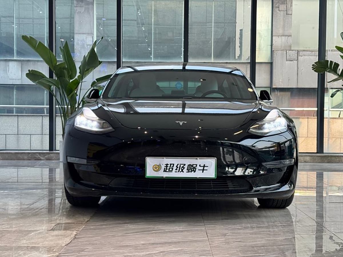 特斯拉 Model 3  2019款 長續(xù)航后驅(qū)版圖片