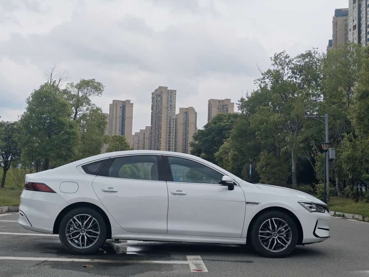 比亞迪 秦PLUS  2024款 榮耀版 EV 510KM超越型圖片